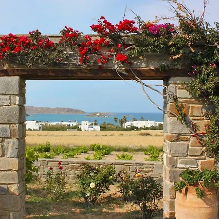 Villa Summer House *